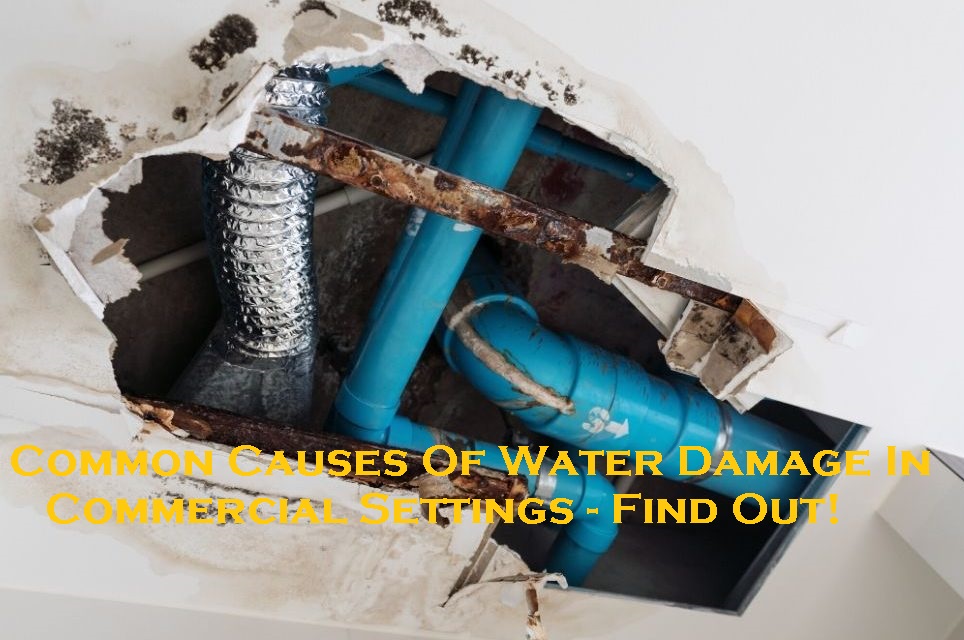 Common Causes Of Water Damage In Commercial Settings – Find Out!